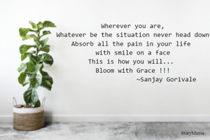 Wherever you are,
Whatever be the situation never head down
Absorb all the pain in your life 
with smile on a face
This is how you will... 
Bloom with Grace !!!