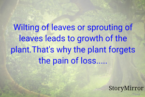 Wilting of leaves or sprouting of leaves leads to growth of the plant.That's why the plant forgets the pain of loss.....