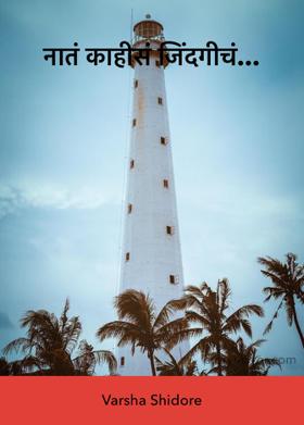 नातं काहीसं जिंदगीचं...