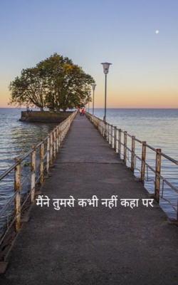 मैं तुमसे कभी नहीं कहा पर
