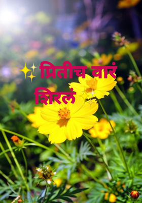 ✨प्रितीच वारं शिरलं✨