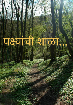 पक्ष्यांची शाळा...