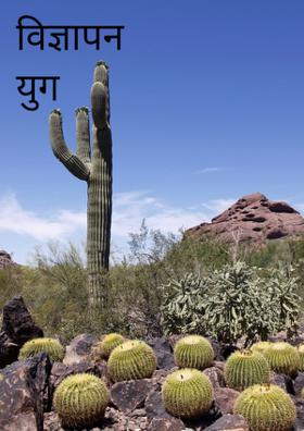 विज्ञापन युग