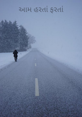 આમ હરતાં ફરતાં