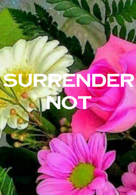Surrender Not