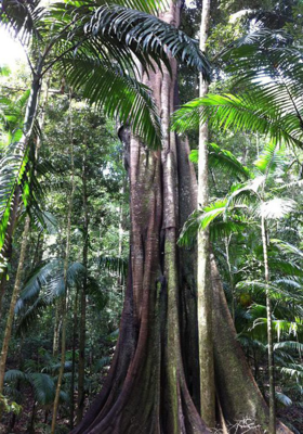 పోటీ పోటీ 