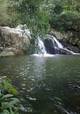 परहित सरिस धर्म नहिं भाई