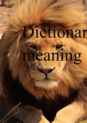 Dictionary words meaning