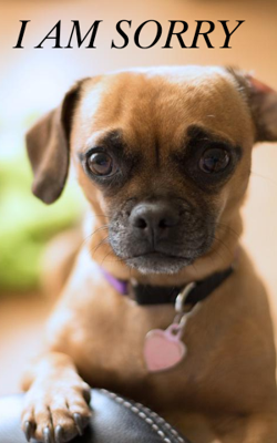 𝐼 𝐴𝑀 𝑆𝑂𝑅𝑅𝑌