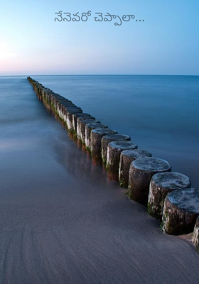 నేనెవరో చెప్పాలా...