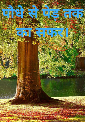 पौधे से पेड़ तक का सफर।