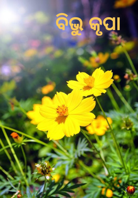 ବିଭୁ କୃପା 