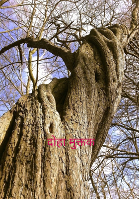 दोहा मुक्तक 