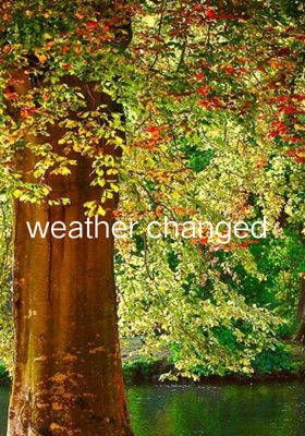 Weather Changed