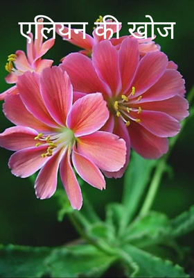 एलियन की खोज