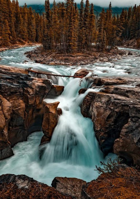 पुराणों में स्त्रियों की जगह