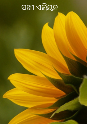 ସଖୀ ଏଲିୟନ