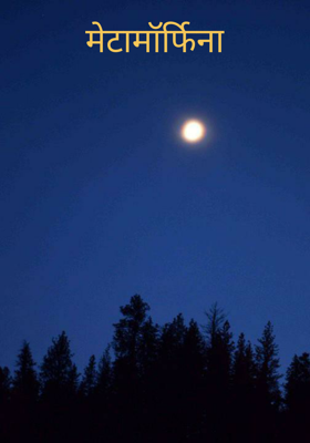 मेटामॉर्फिना