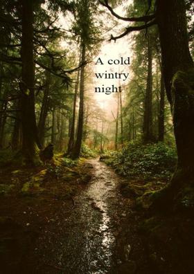 A Cold Wintry Night