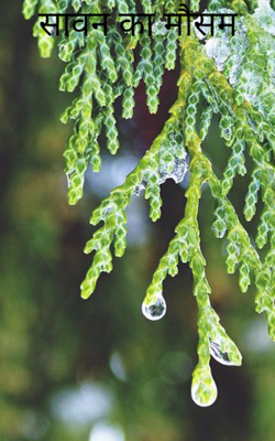 सावन का मौसम