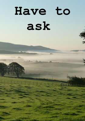 Have To Ask