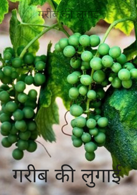 गरीब की लुगाई