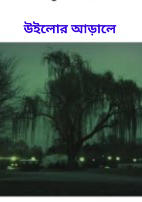 উইলোর আড়ালে