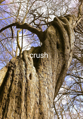 crush