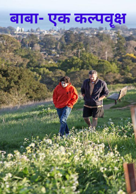 बाबा - एक कल्पवॄक्ष