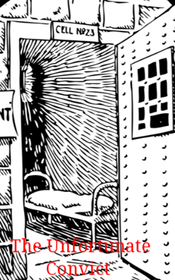 The Unfortunate Convict