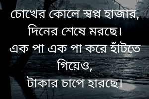 চোখের কোলে স্বপ্ন হাজার,
দিনের শেষে মরছে।
এক পা এক পা করে হাঁটতে গিয়েও,
টাকার চাপে হারছে।

-- ভূমি কন্যা 