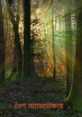 নৈশ অ্যাডভেঞ্চার