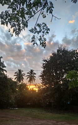 रे प्रजातंत्रा