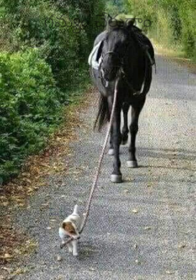 గమ్యం చేరుదాం