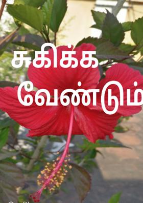 சுகிக்க வேண்டும்