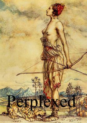 Perplexed