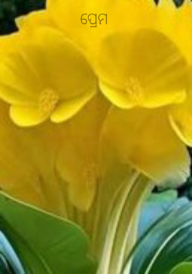 ପ୍ରେମ 