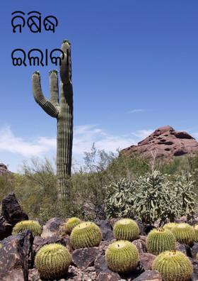 ନିଷିଦ୍ଧ ଇଲାକା ---------