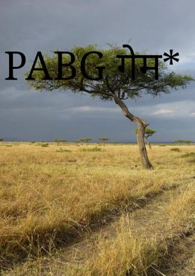 PABG गेम*