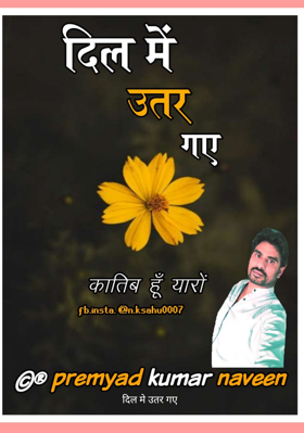 दिल में उतर गए