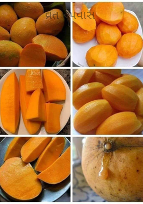 વ્રત ઉપવાસ