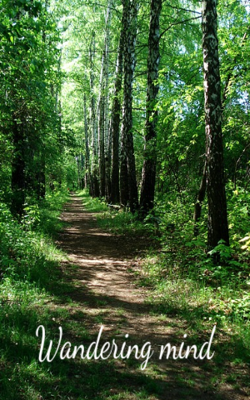 Wandering mind
