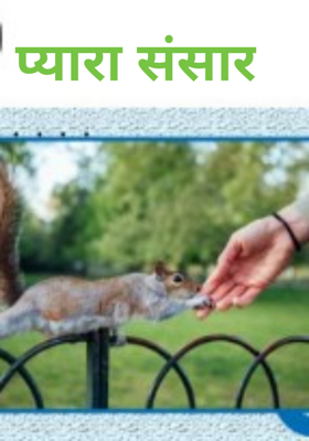 प्यारा संसार