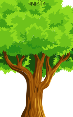 अपार्टमेंट