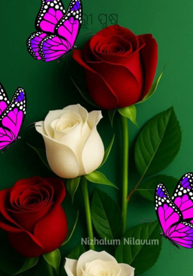 ପଲ୍ଲୀ ପୁଷ୍ପ 