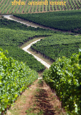 शीर्षक  आठवांची पायवाट