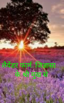 लैवेंडर फार्म-जिज्ञासा के श्री मुख से