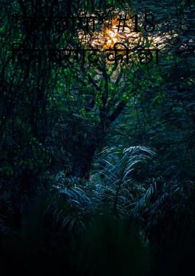 छत्रछाया