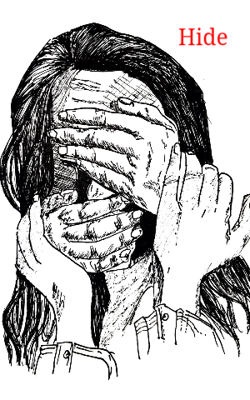Hide