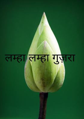 लम्हा लम्हा गुज़रा